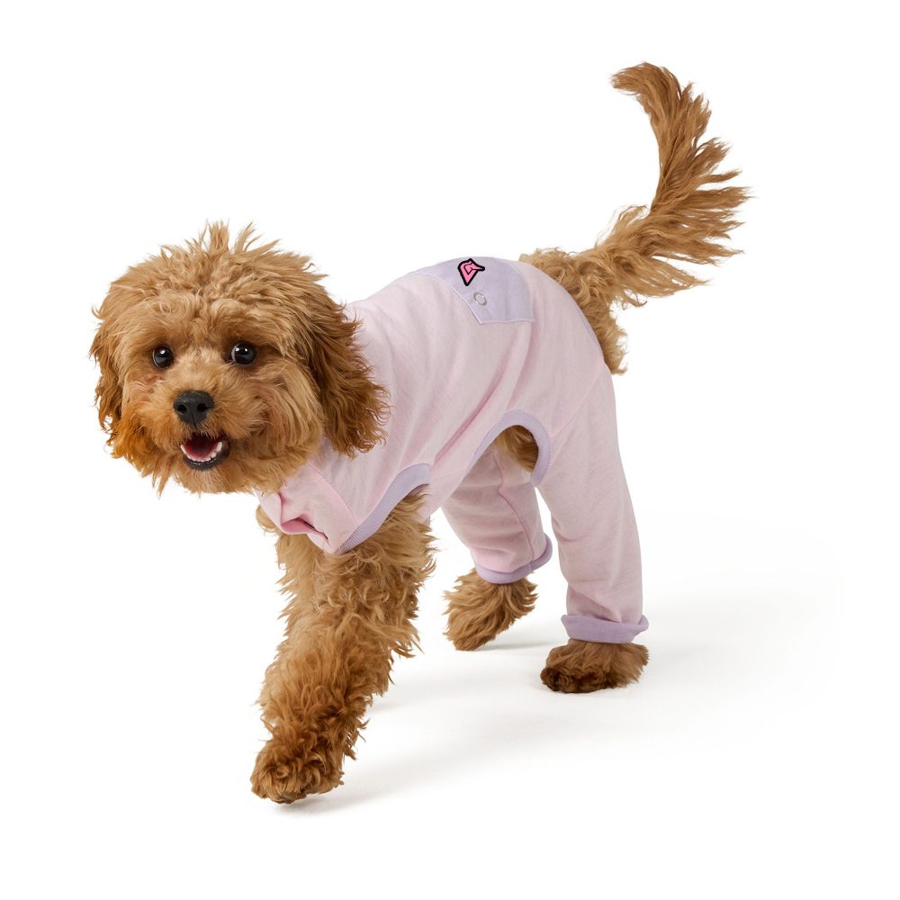 Pet Clothing